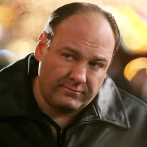 This is the Avatar Image for the Tony Soprano From The Sopranos AI Voice and Text to Speech Generator